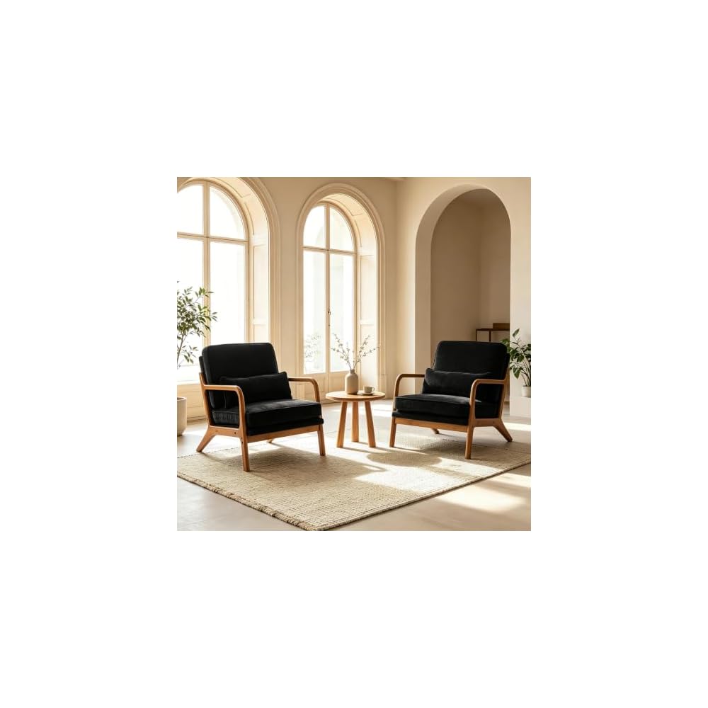 Karl home Mid-Century Modern Accent Reading Chair, Black